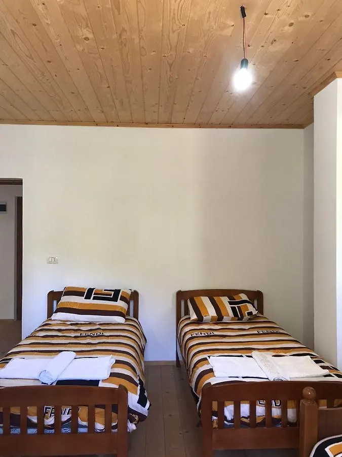 Elvis Blini Thethi Hotel