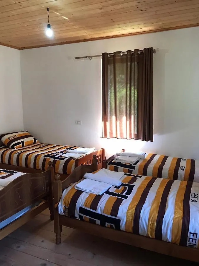 Guest house Elvis Blini Thethi Hotel