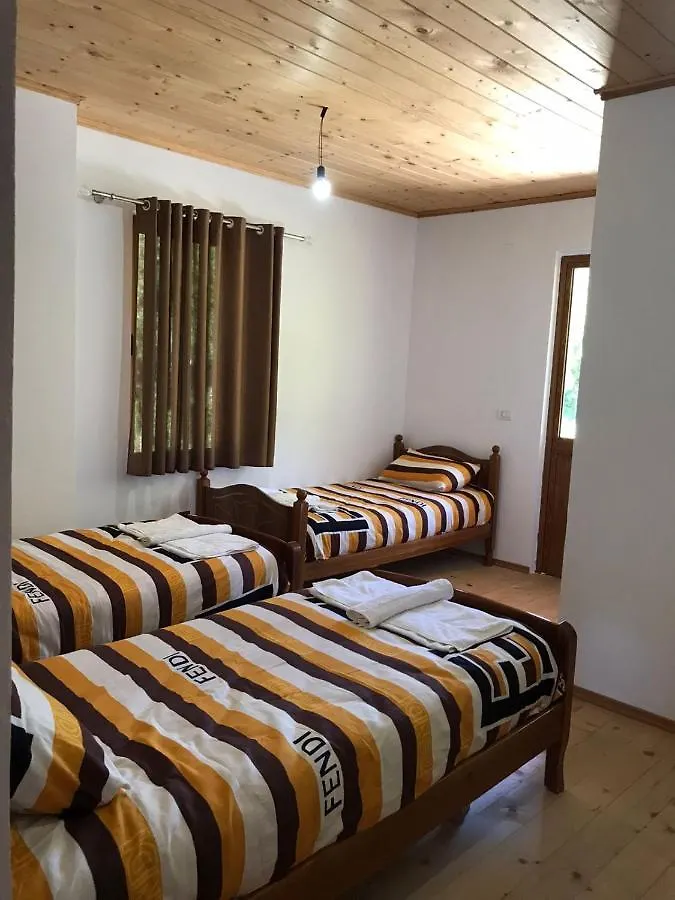 Elvis Blini Thethi Hotel